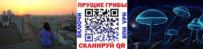 купить   Тарко-Сале  кракен зеркало  Псилоцибиновые грибы Psilocybine cubensis 