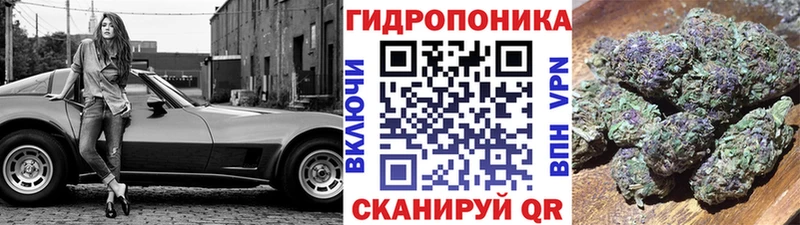 купить наркоту  Тарко-Сале  Каннабис Amnesia 